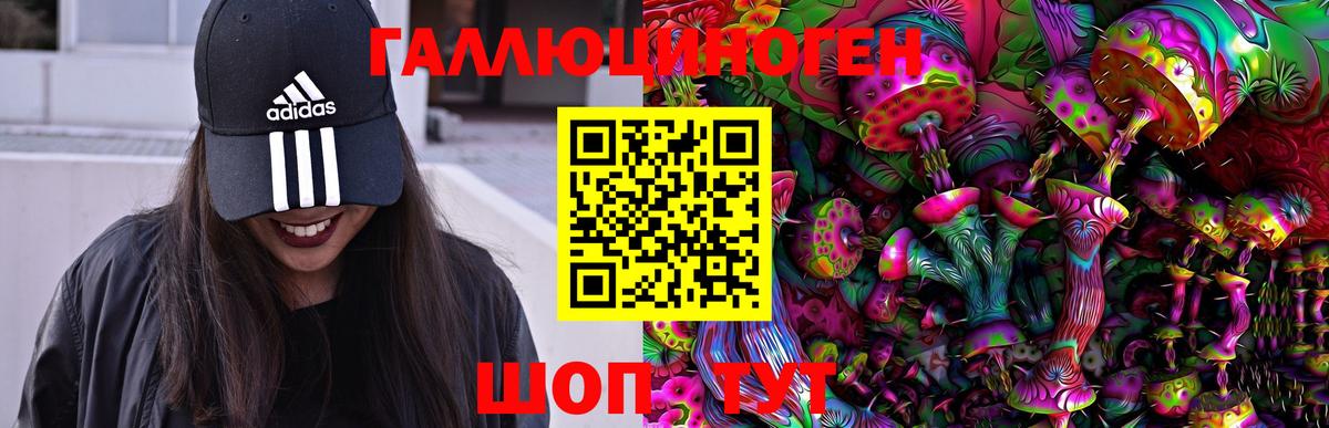 Россия  Псилоцибиновые грибы мухоморы  Вход с VPN 